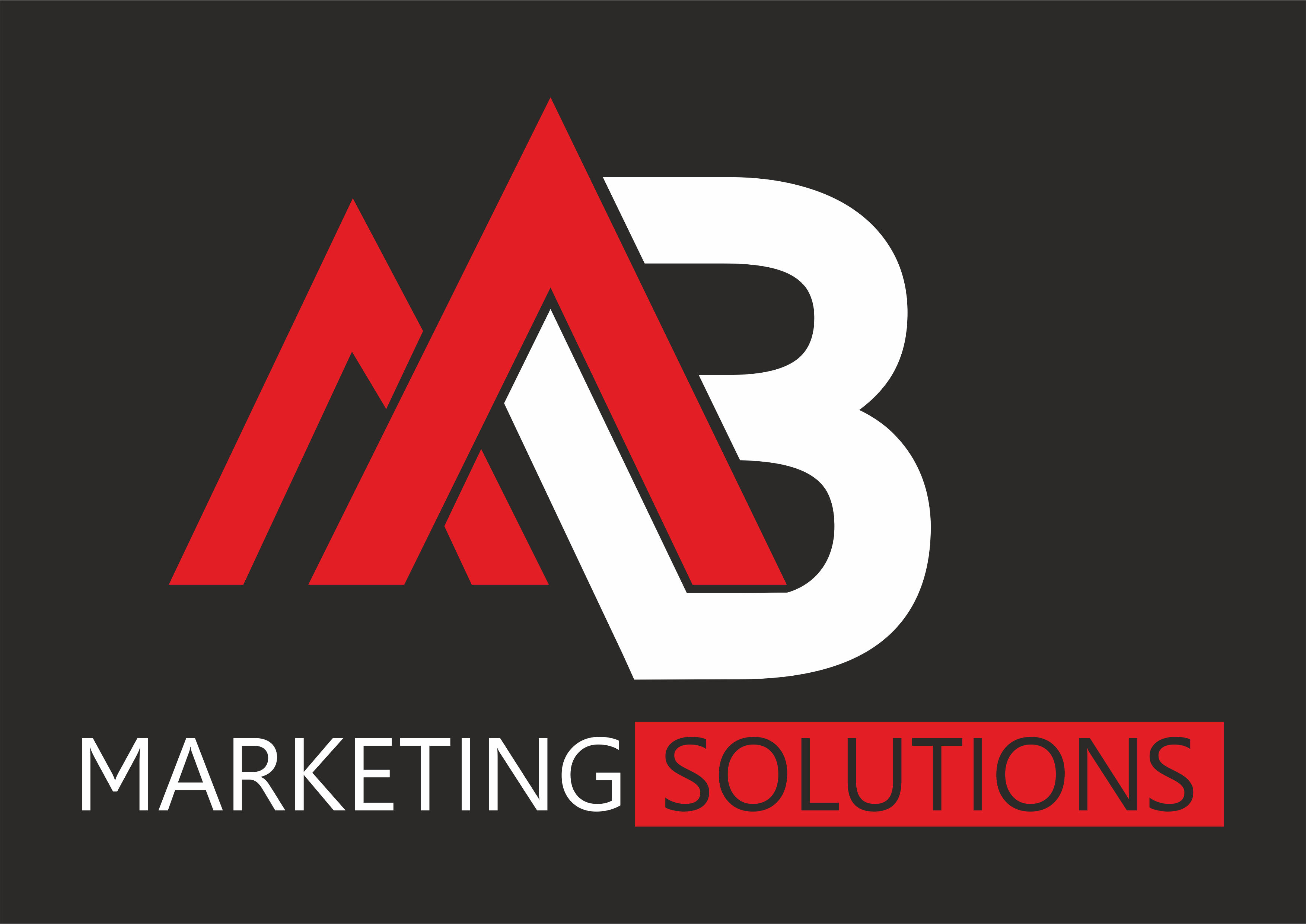MB Marketing Solutions Mariusz Biegański