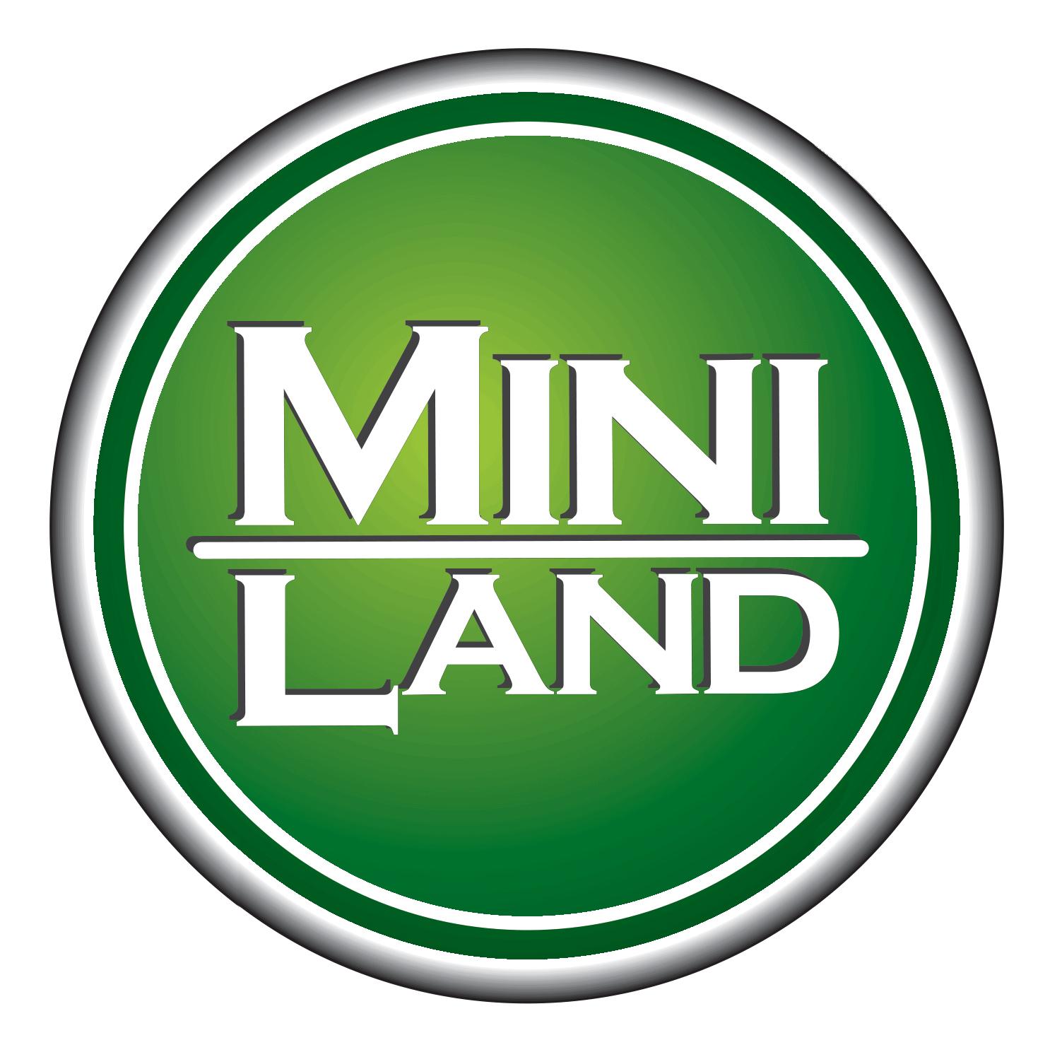 Mini Land Adam Taraziewicz